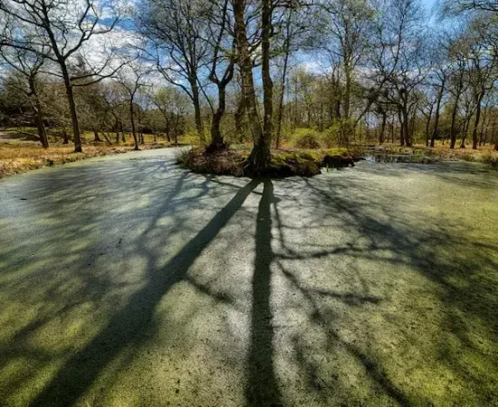 beautiful-shot-seasonal-autumn-p